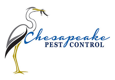 Chesapeake Pest Control