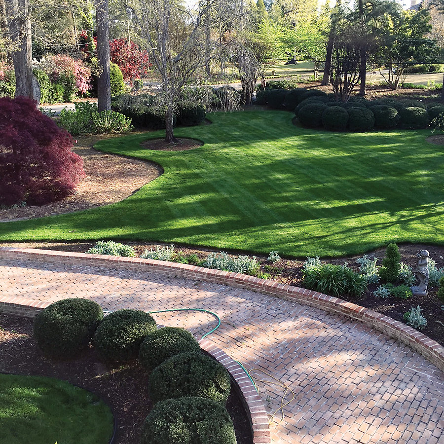 A stunning lawn with manicured borders