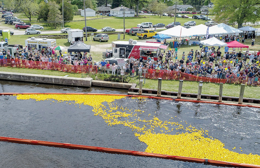 Thousands of yellow rubber ducks race down the Intracoastal Waterway in Great Bridge each spring